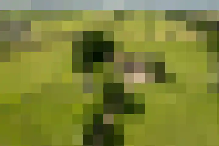 Holthoevensestraat 17 Teuge thumbnail 26