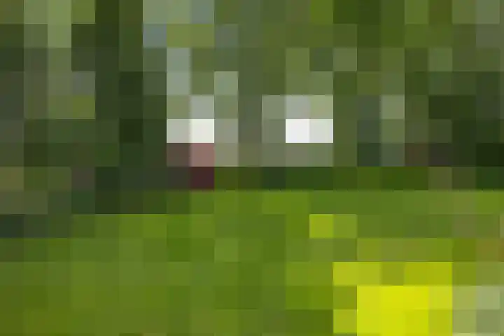 Holthoevensestraat 17 Teuge thumbnail 28