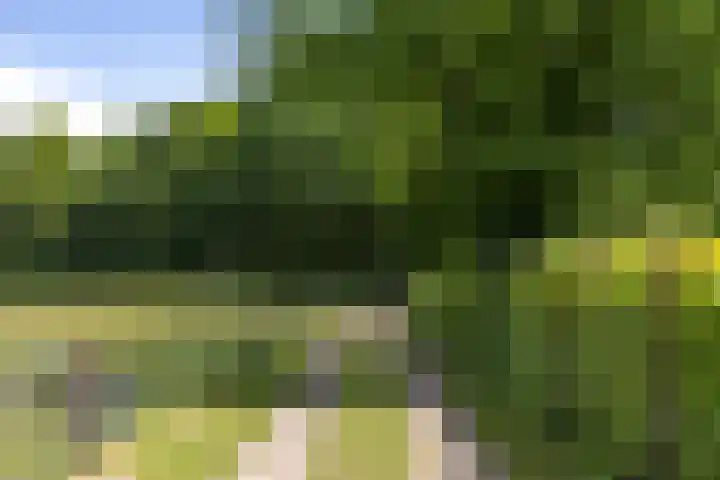 Holthoevensestraat 17 Teuge thumbnail 31