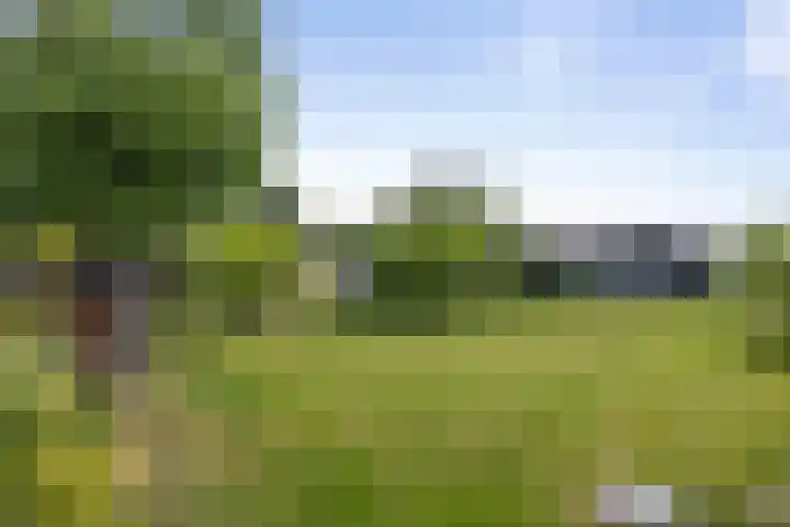 Holthoevensestraat 17 Teuge thumbnail 32