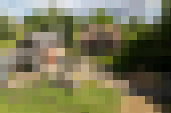 Holthoevensestraat 17 Teuge thumbnail 33