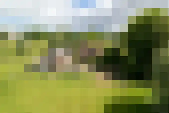 Holthoevensestraat 17 Teuge thumbnail 34