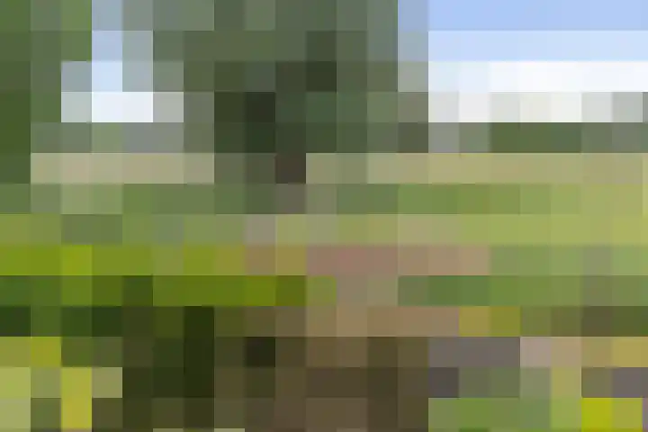 Holthoevensestraat 17 Teuge thumbnail 37