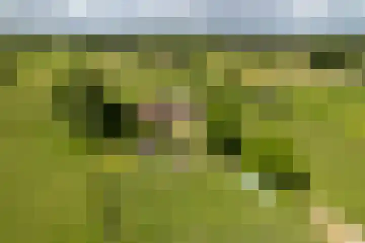 Holthoevensestraat 17 Teuge thumbnail 38