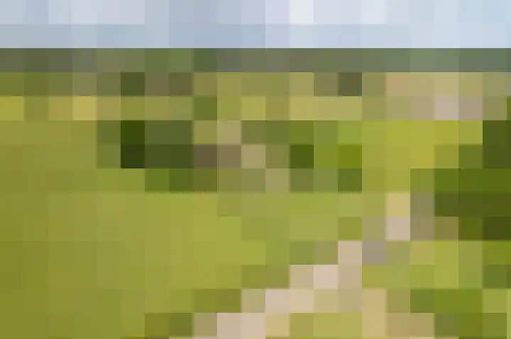 Holthoevensestraat 17 Teuge thumbnail 39