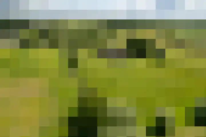 Holthoevensestraat 17 Teuge thumbnail 40