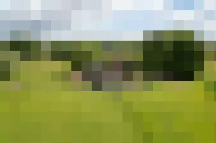 Holthoevensestraat 17 Teuge thumbnail 41