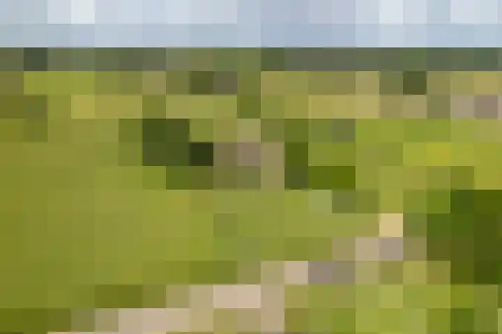 Holthoevensestraat 17 Teuge thumbnail 42
