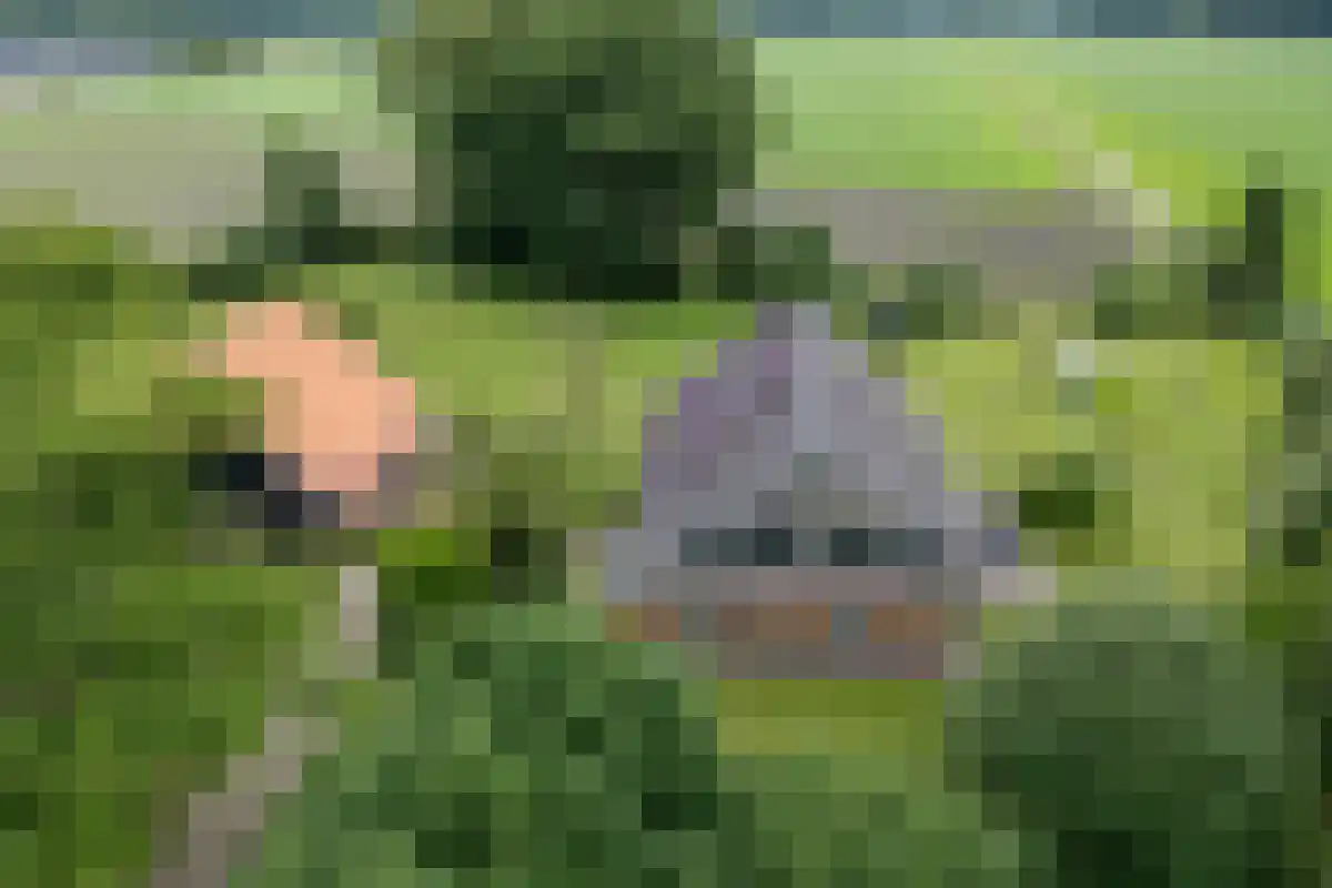 Holthonerweg 14 Holthone