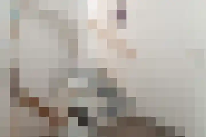 Holthuijzenstede 9 Vaassen thumbnail 10
