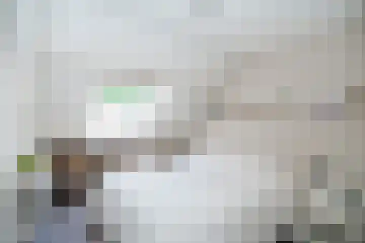 Holthuijzenstede 9 Vaassen thumbnail 12