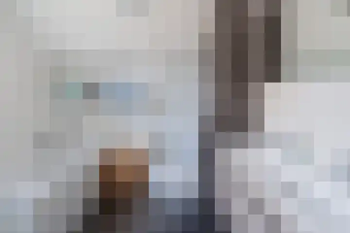 Holthuijzenstede 9 Vaassen thumbnail 16