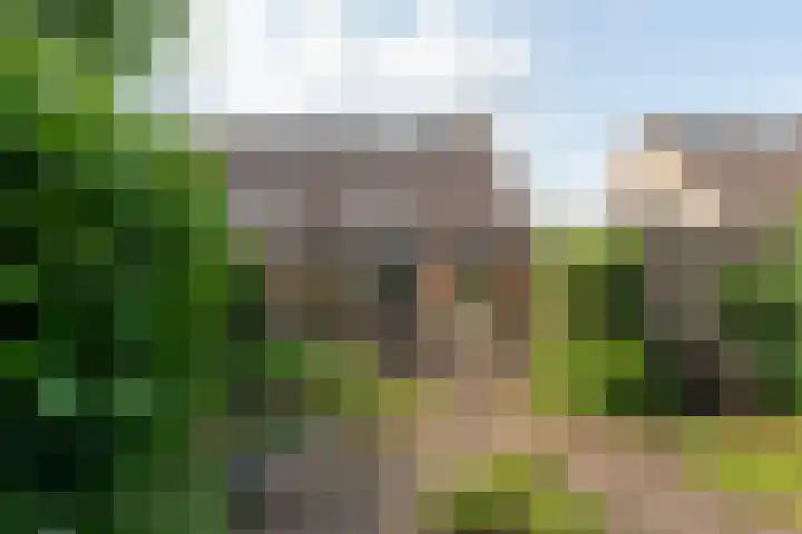 Holthuijzenstede 9 Vaassen thumbnail 20