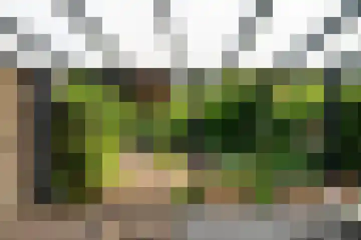 Holthuijzenstede 9 Vaassen thumbnail 21