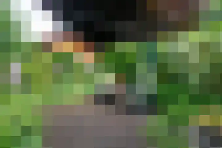 Holthuijzenstede 9 Vaassen thumbnail 22