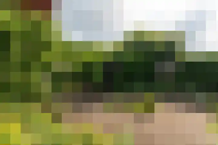 Holthuijzenstede 9 Vaassen thumbnail 23