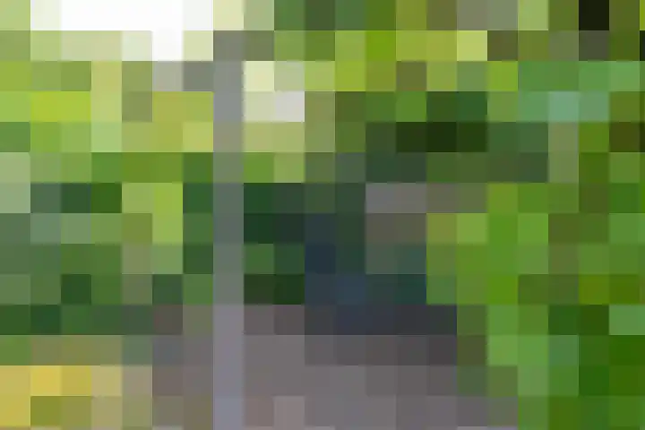 Holthuijzenstede 9 Vaassen thumbnail 24