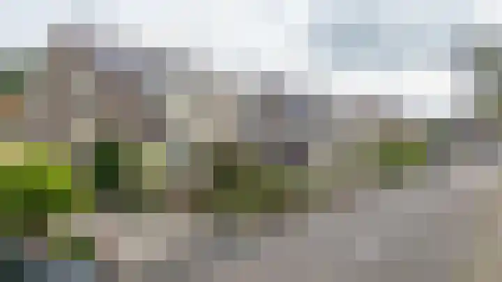 Holthuijzenstede 9 Vaassen thumbnail 31