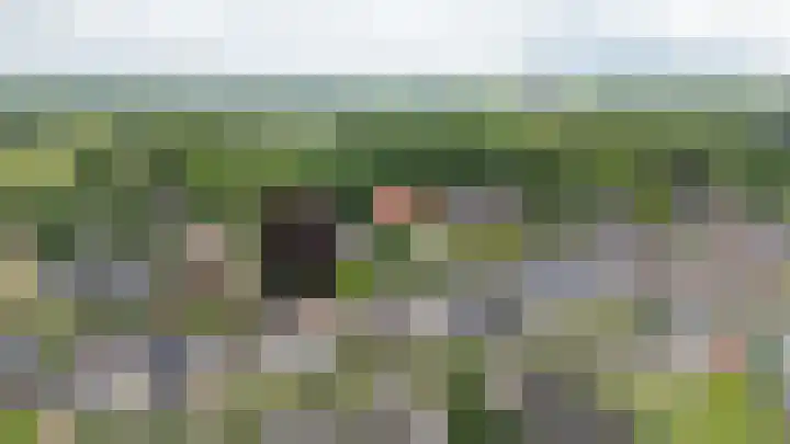 Holthuijzenstede 9 Vaassen thumbnail 32