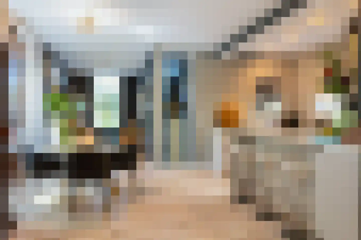 Holthuis 37 Apeldoorn thumbnail 13