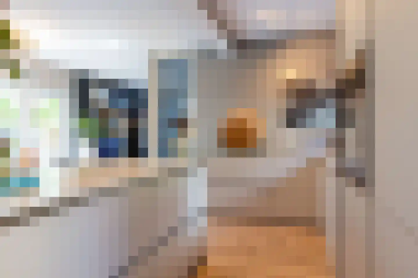 Holthuis 37 Apeldoorn thumbnail 18
