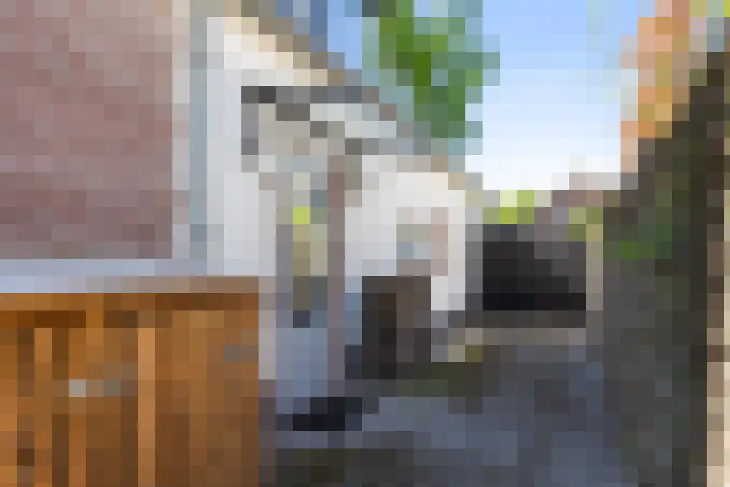 Holthuis 37 Apeldoorn thumbnail 21