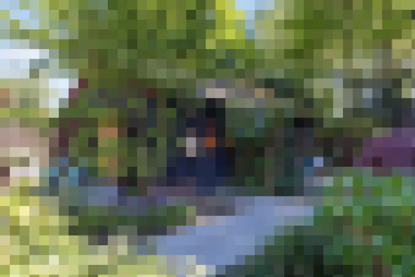 Holthuis 37 Apeldoorn thumbnail 26
