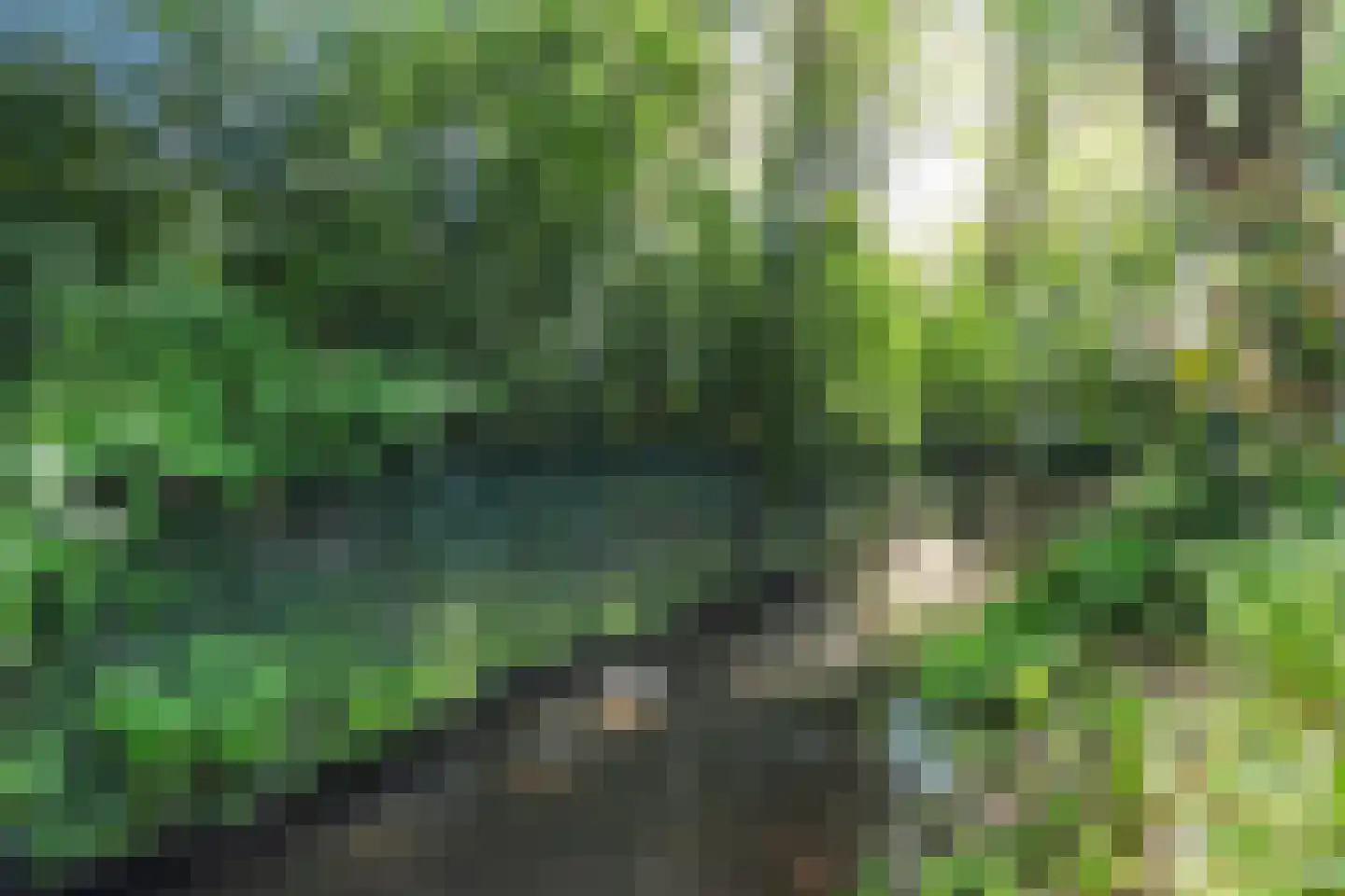 Holthuis 37 Apeldoorn thumbnail 36