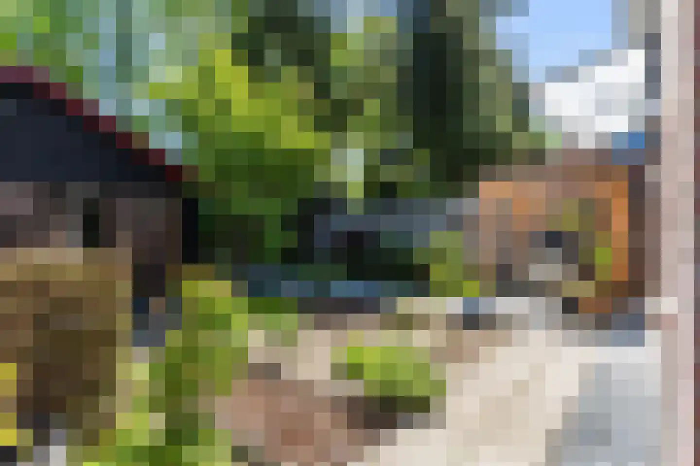 Holthuis 37 Apeldoorn thumbnail 38