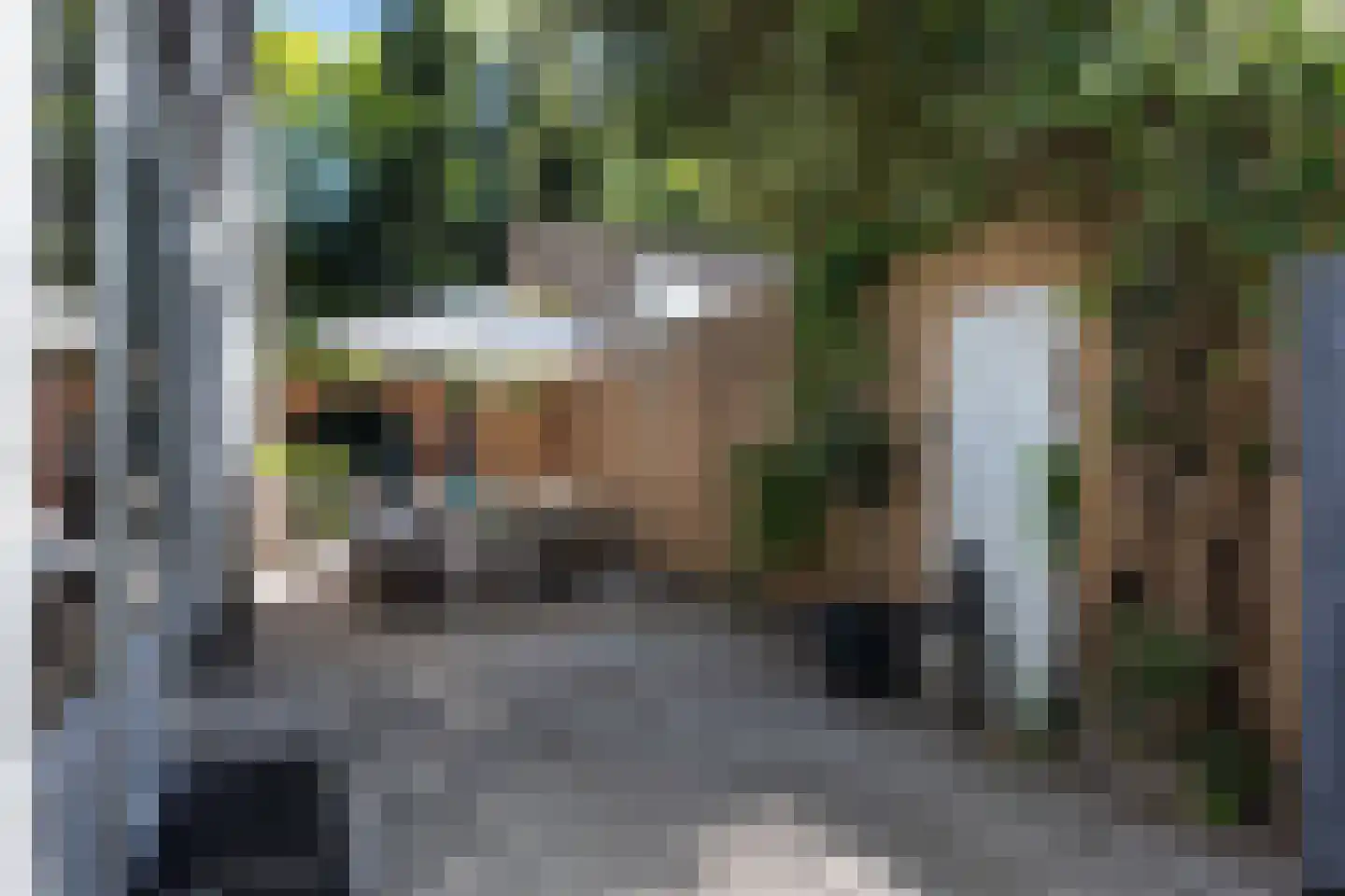 Holthuis 37 Apeldoorn thumbnail 40