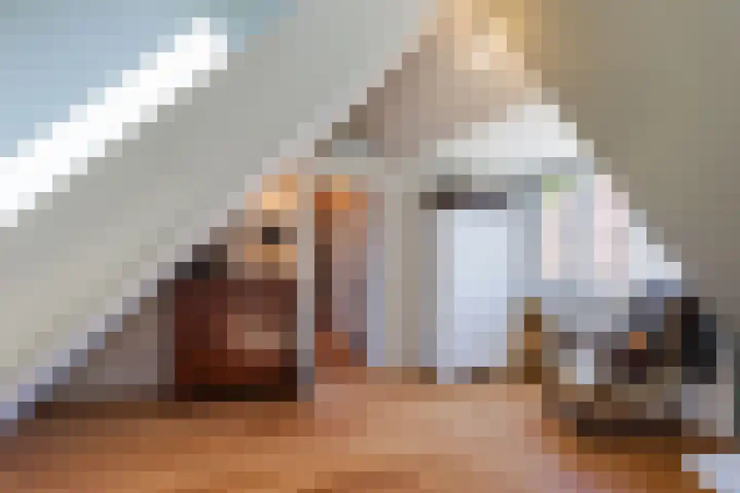 Holthuis 37 Apeldoorn thumbnail 51