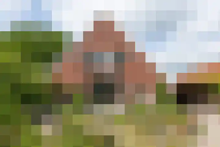 Holthuisweg 17 Winterswijk Woold thumbnail 5