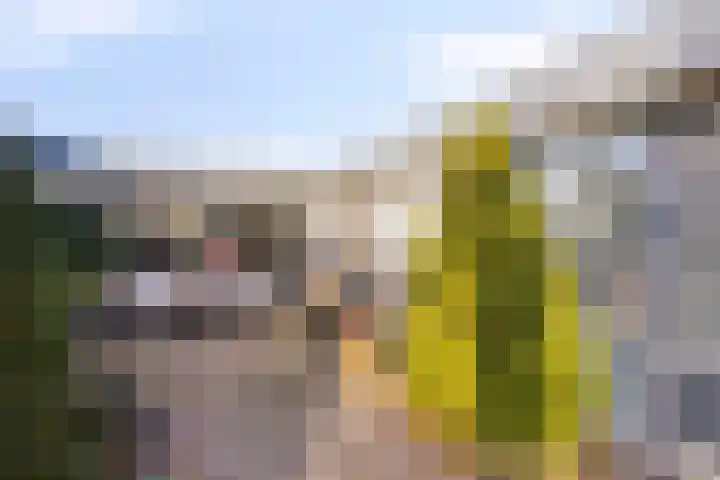 Holthuizenbrink 11 Enschede thumbnail 33