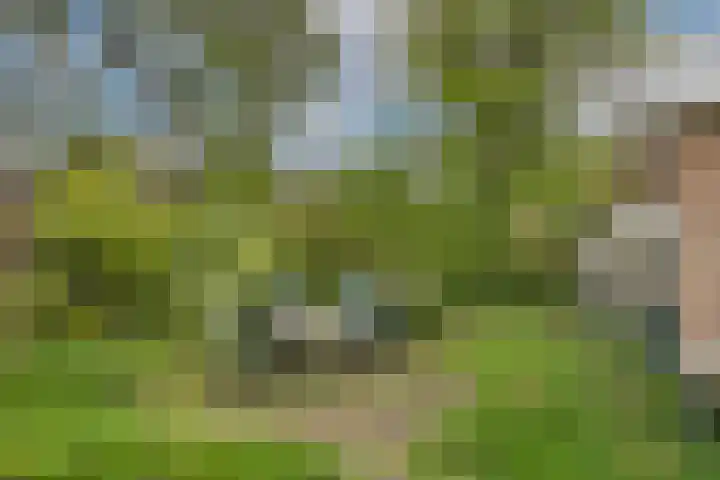 Holthuizenbrink 9 Enschede thumbnail 36