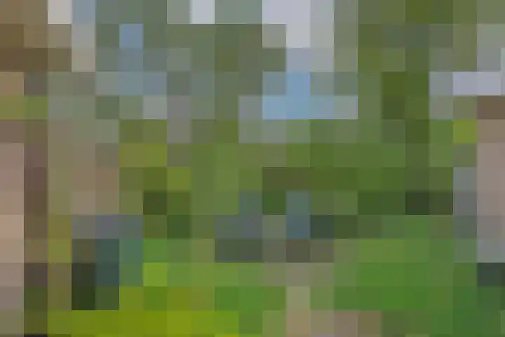 Holthuizenbrink 9 Enschede thumbnail 4