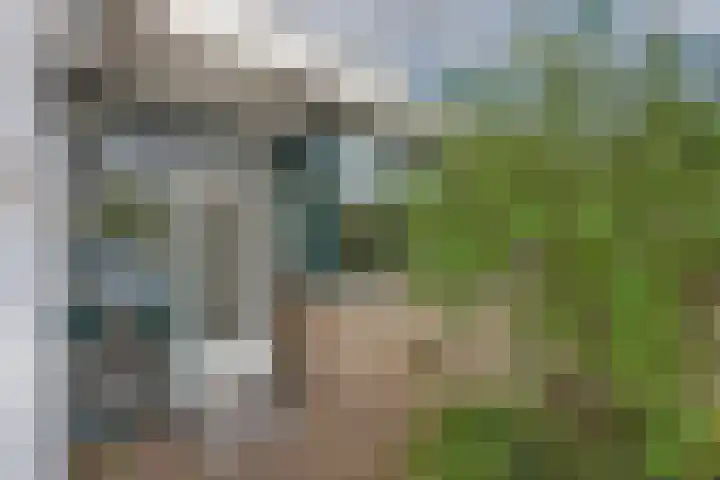 Holthuizenbrink 9 Enschede thumbnail 6
