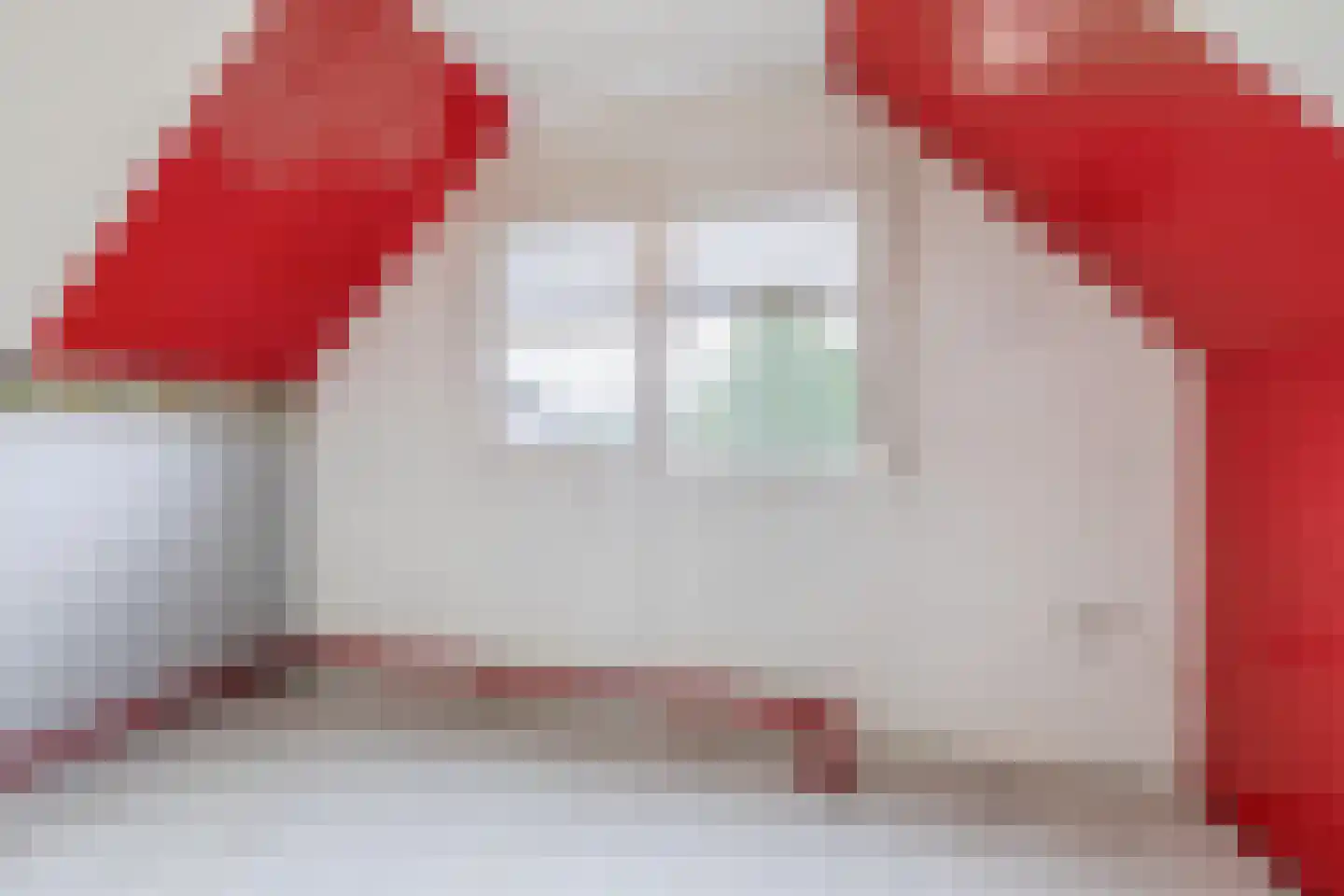 Holthuizerdreef 135 Huissen thumbnail 28