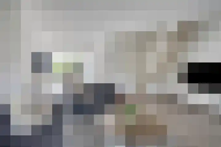 Holthuizerdreef 19 Huissen thumbnail 10
