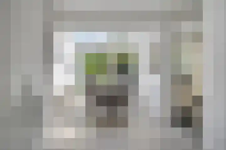 Holthuizerdreef 19 Huissen thumbnail 11