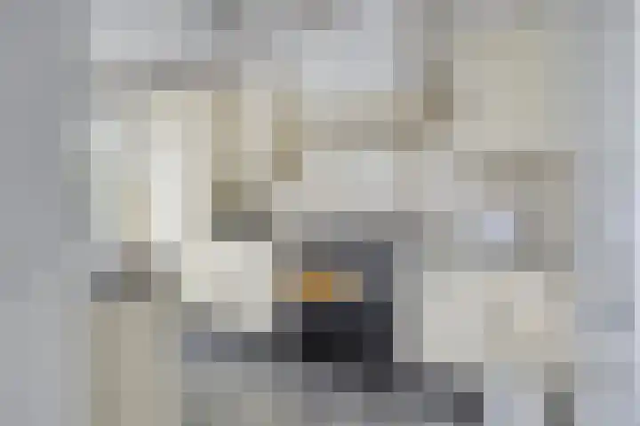 Holthuizerdreef 19 Huissen thumbnail 14