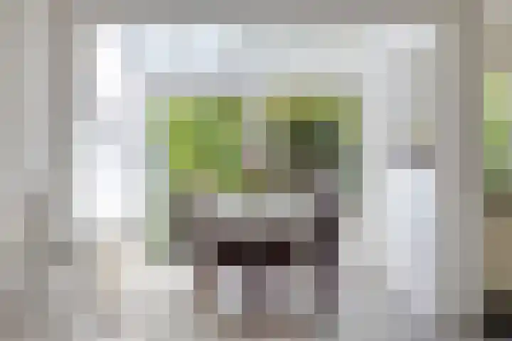 Holthuizerdreef 19 Huissen thumbnail 21