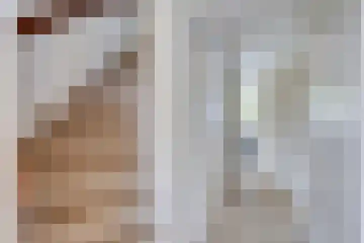 Holthuizerdreef 19 Huissen thumbnail 26