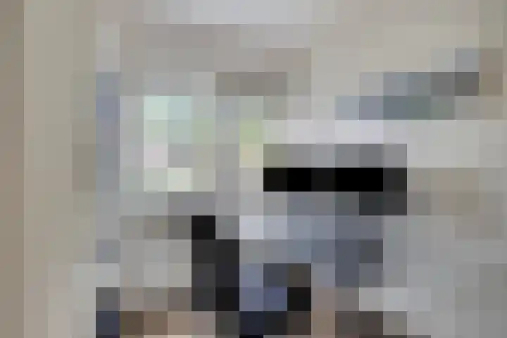Holthuizerdreef 19 Huissen thumbnail 29