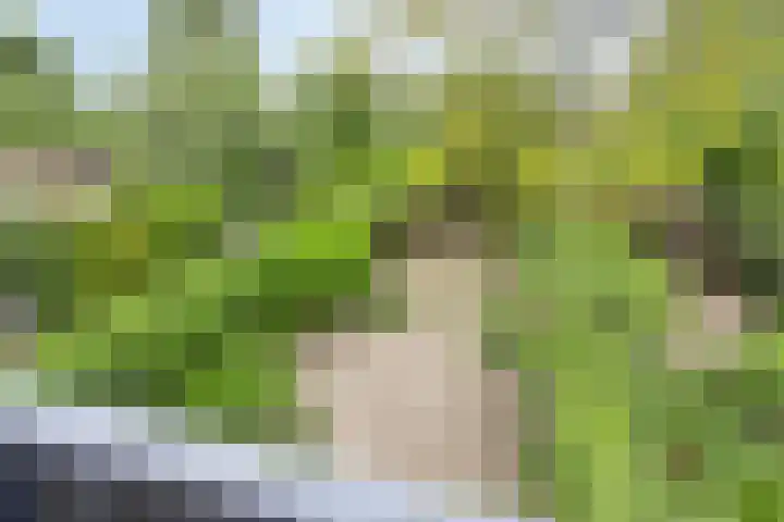 Holthuizerdreef 19 Huissen thumbnail 33