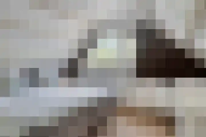 Holthuizerdreef 19 Huissen thumbnail 39