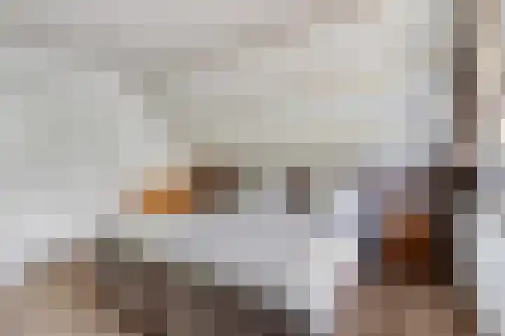 Holthuizerdreef 19 Huissen thumbnail 40