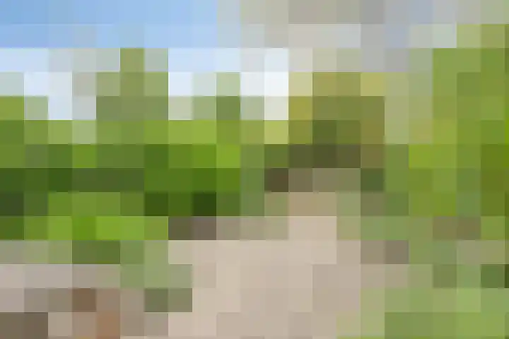 Holthuizerdreef 19 Huissen thumbnail 41