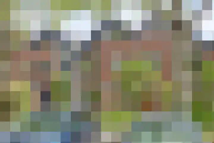 Holthuizerdreef 19 Huissen thumbnail 5