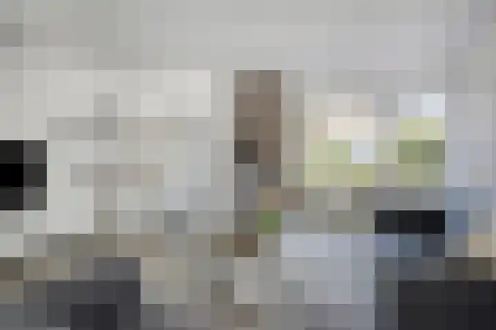 Holthuizerdreef 19 Huissen thumbnail 9
