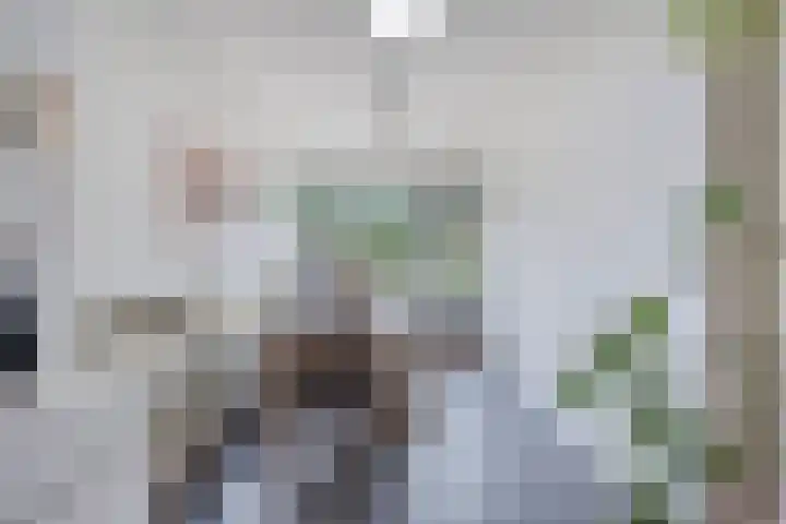 Holthuizerdreef 29 Huissen thumbnail 11